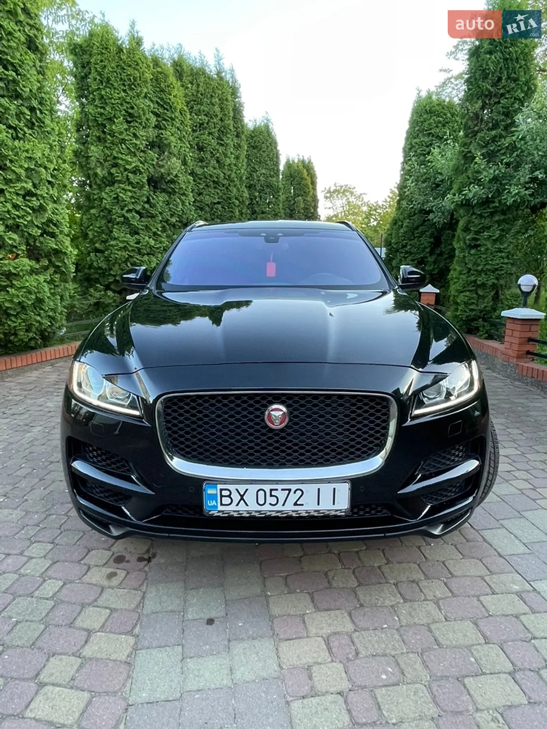 2016 Jaguar F-Pace - фото 1