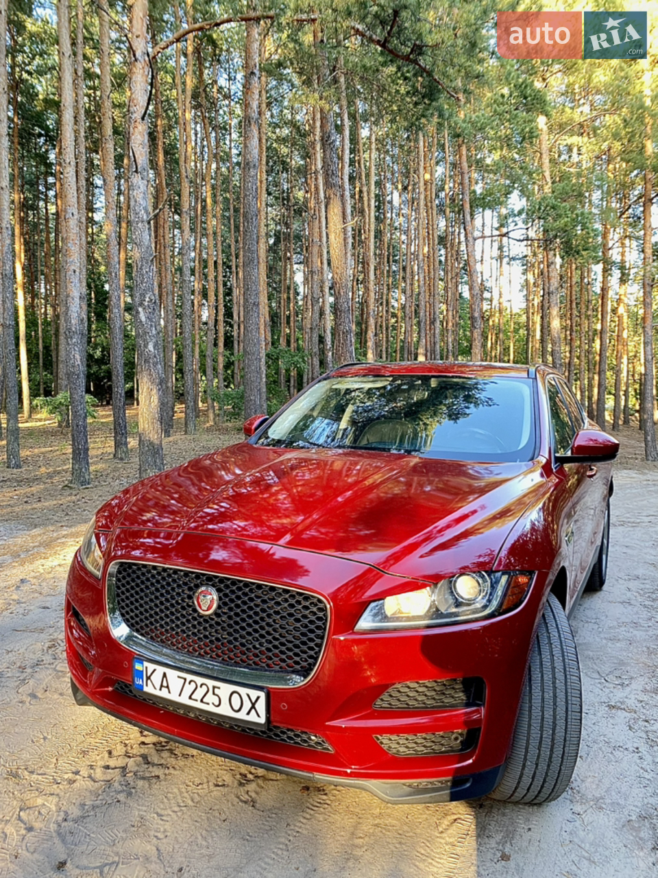 2018 Jaguar F-Pace - мініатюра 25