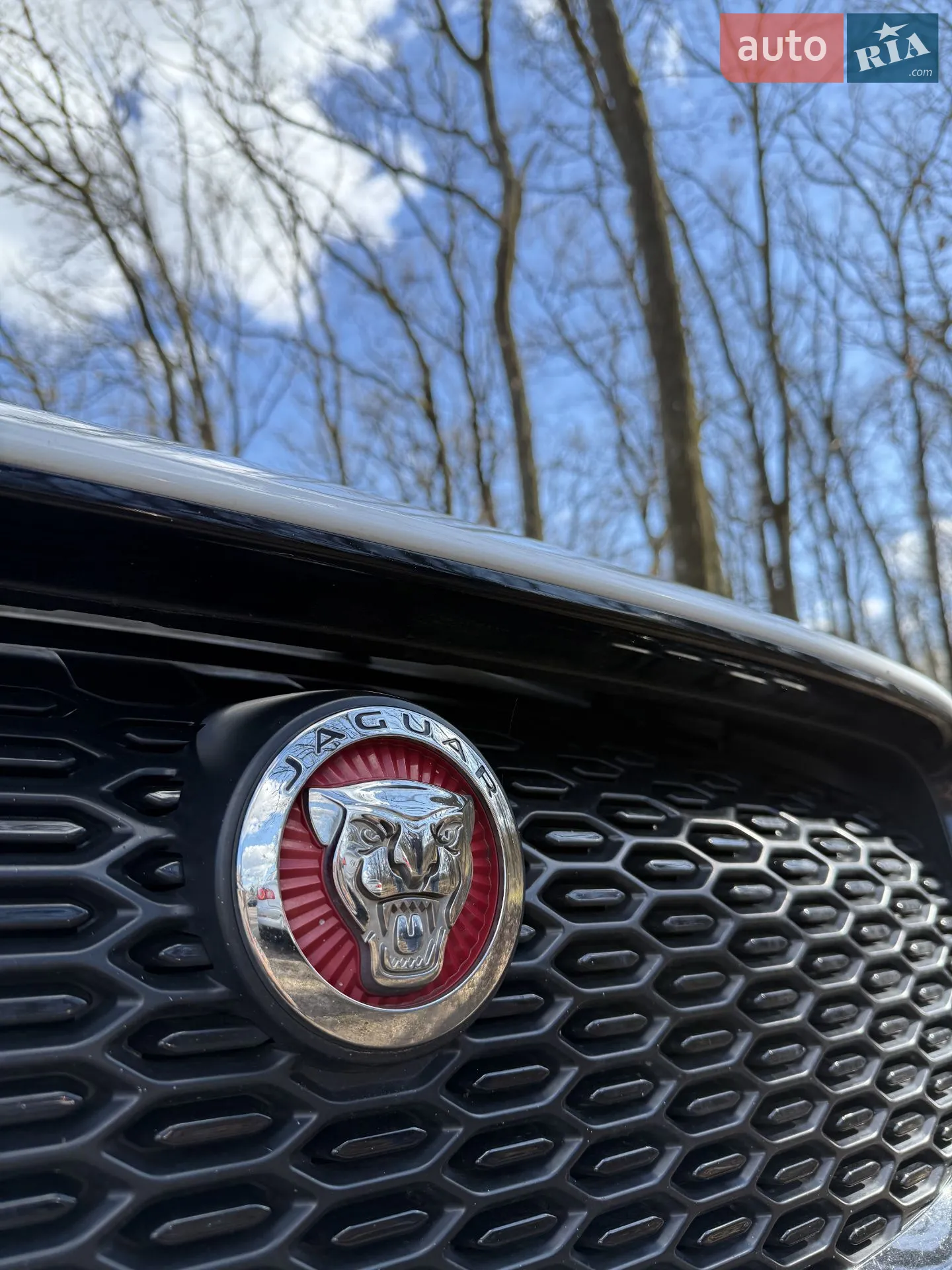 2019 Jaguar I-Pace - мініатюра 74