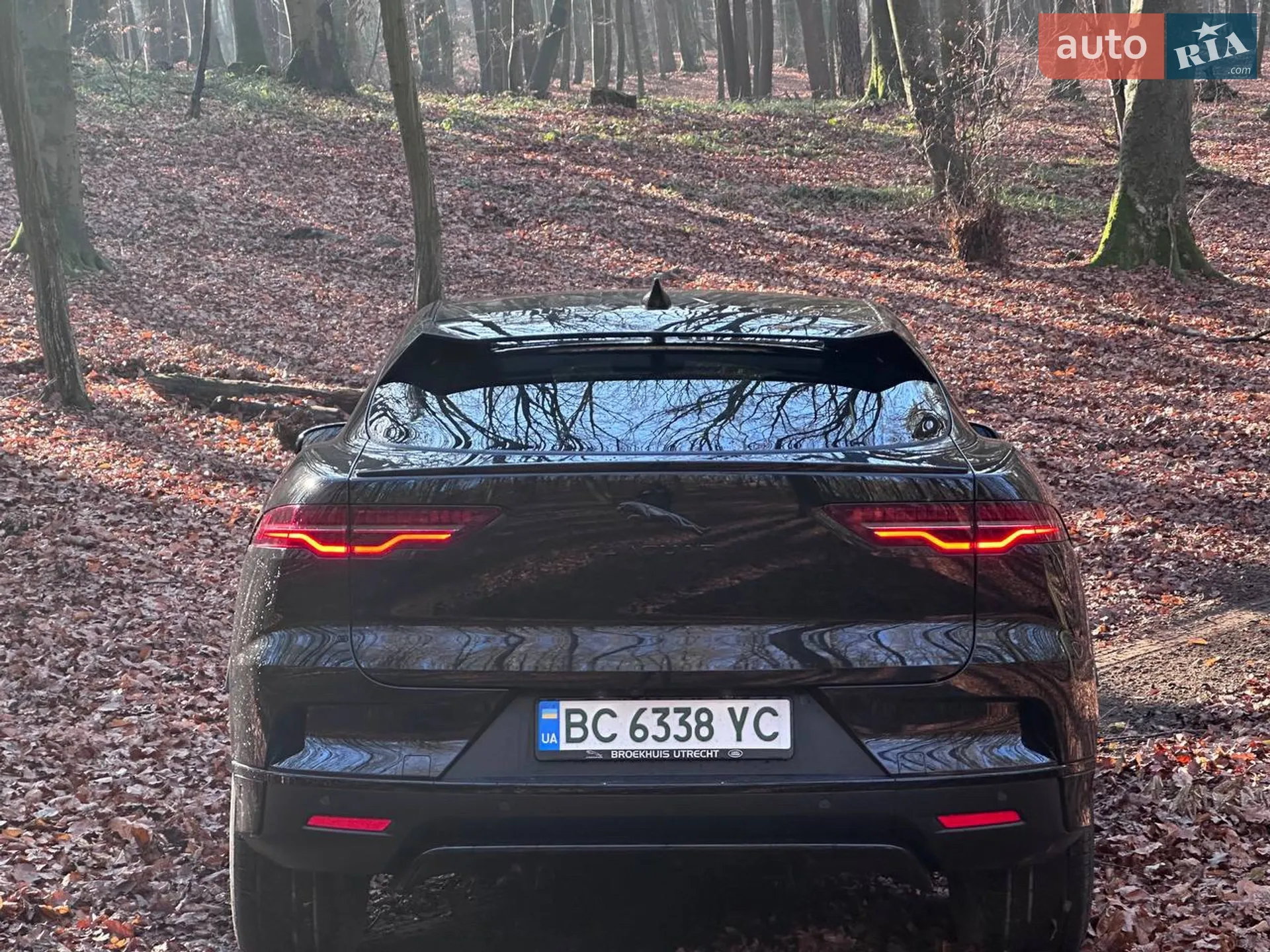 2019 Jaguar I-Pace - мініатюра 8