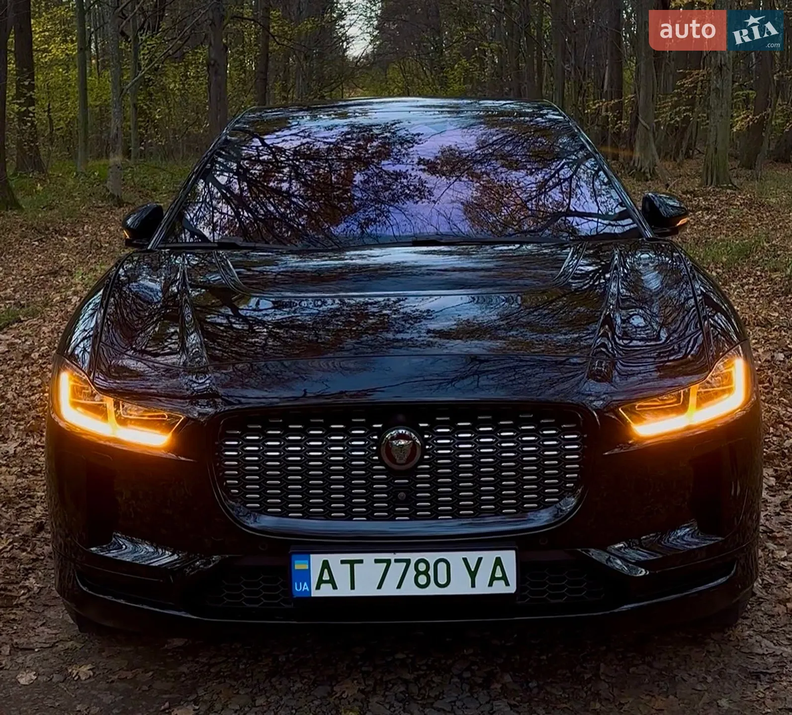 2020 Jaguar I-Pace - мініатюра 3