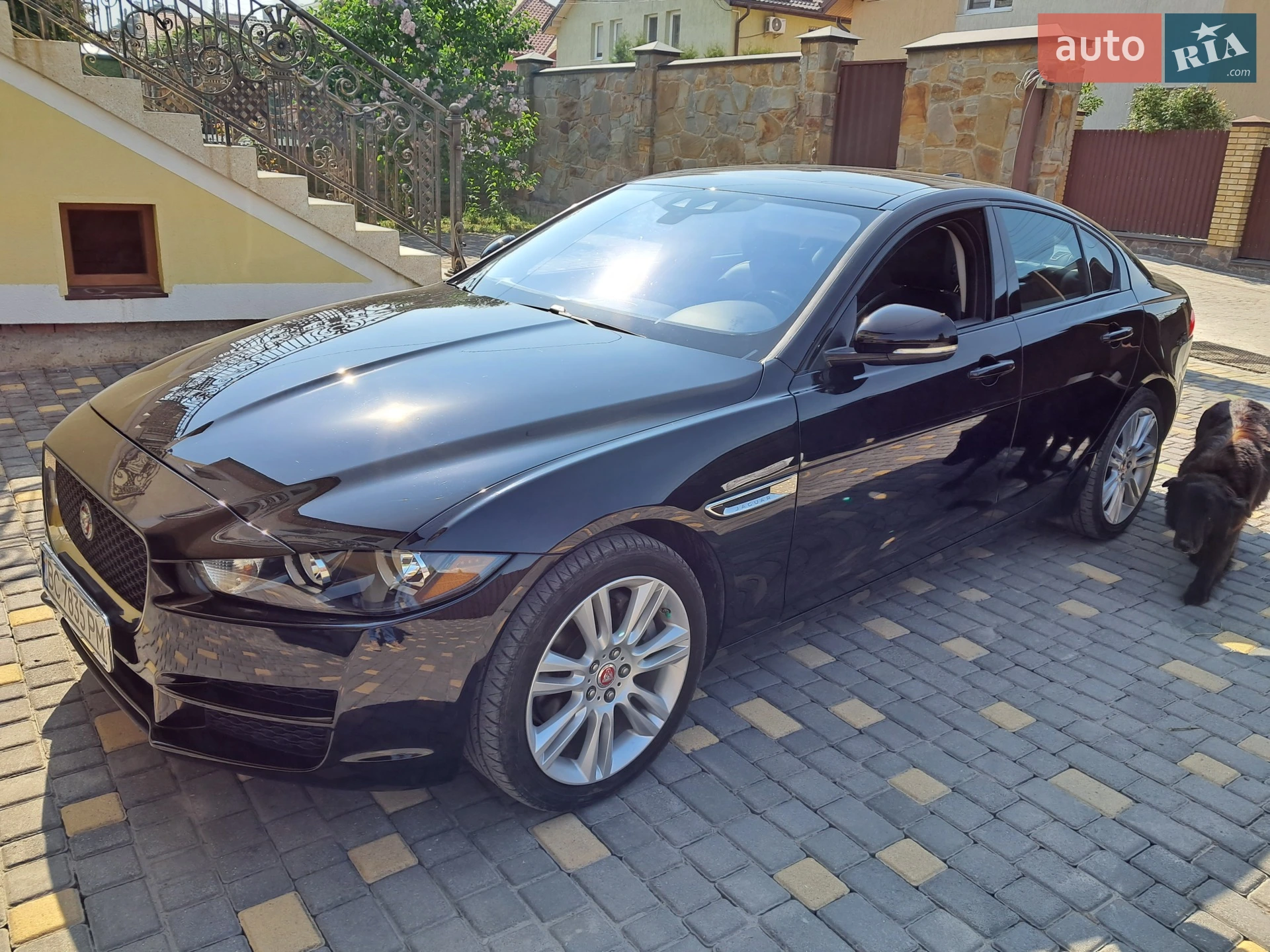 2019 Jaguar XE - мініатюра 28
