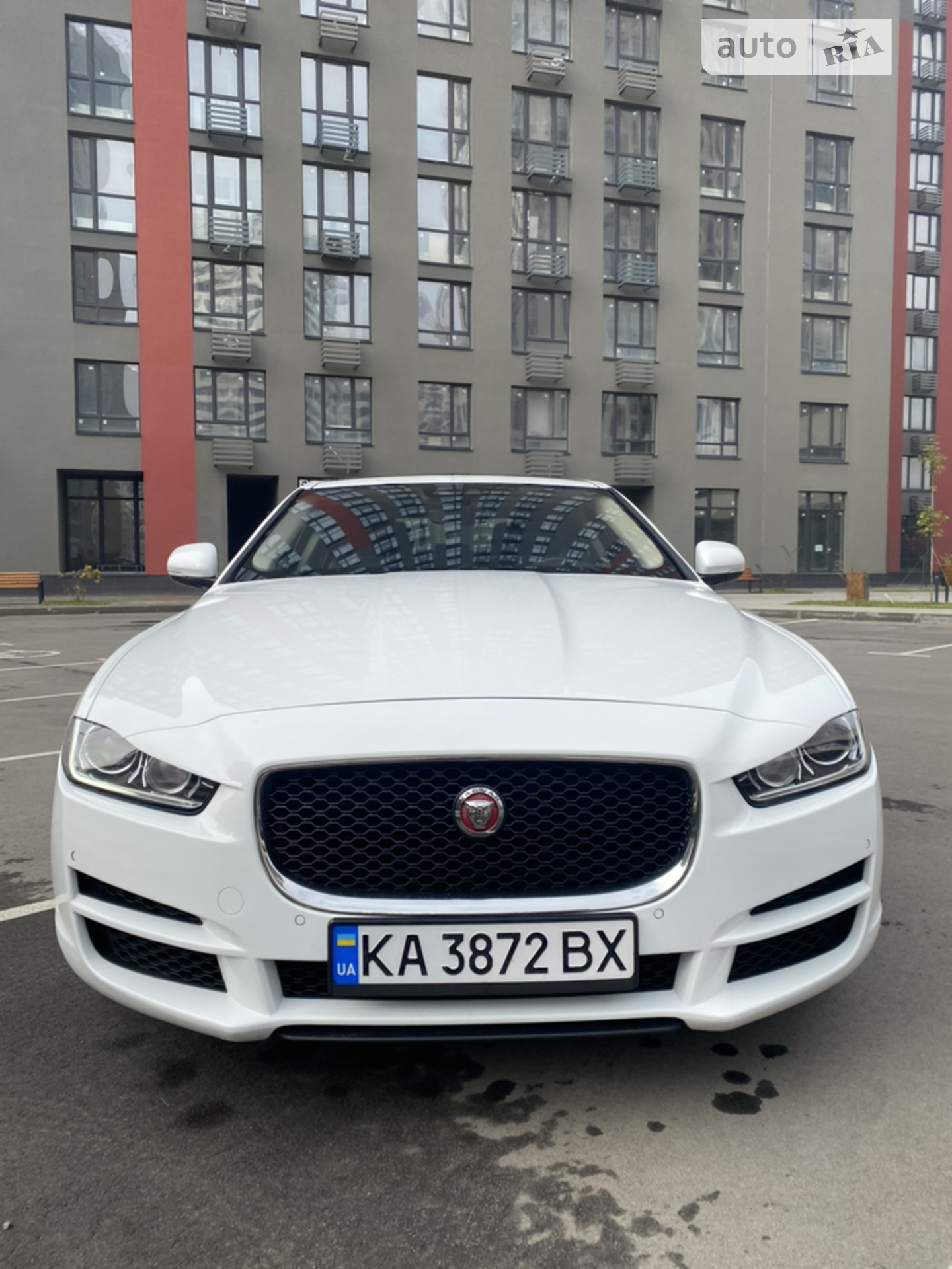 2019 Jaguar XE - мініатюра 2
