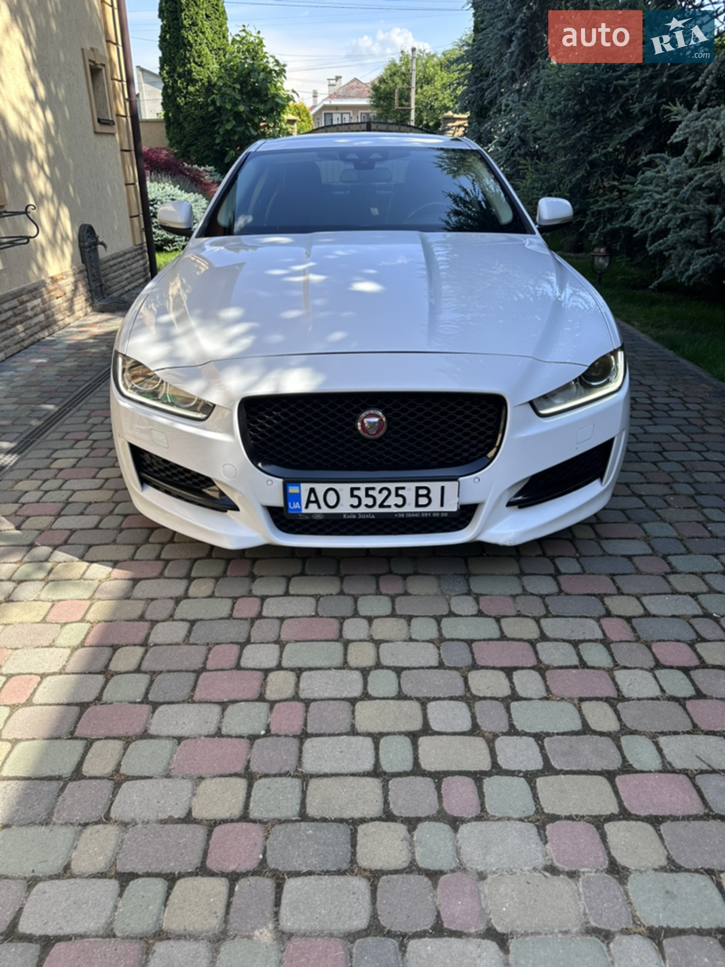 2016 Jaguar XE - мініатюра 2