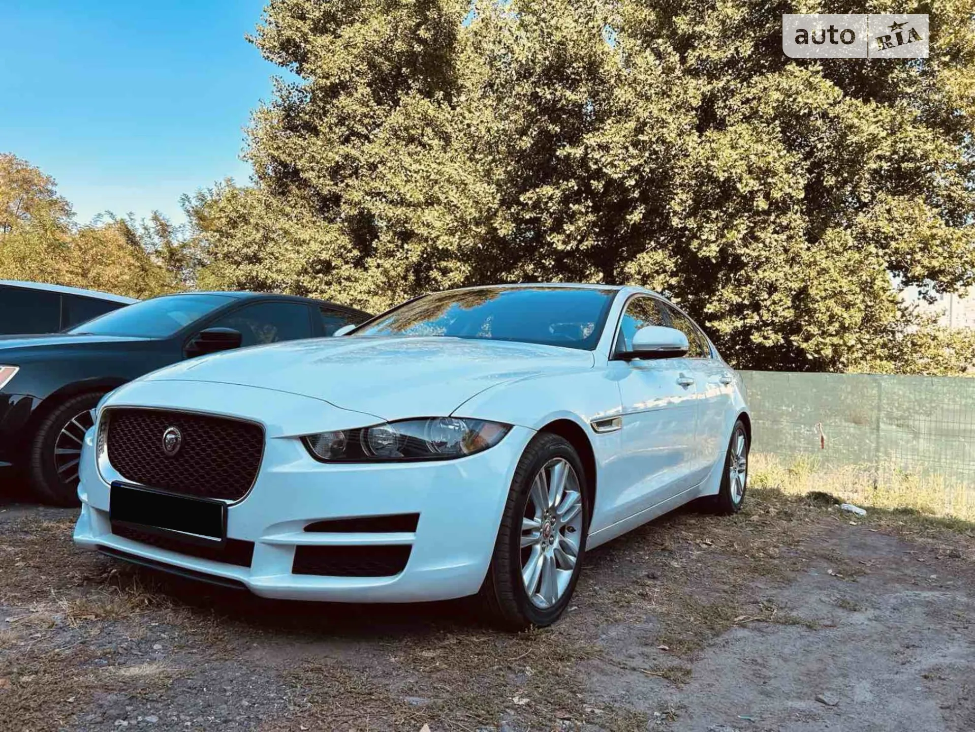 2019 Jaguar XE - мініатюра 2