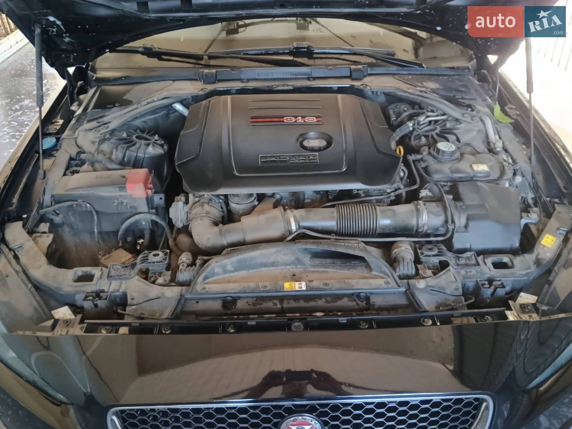 2017 Jaguar XE - мініатюра 11