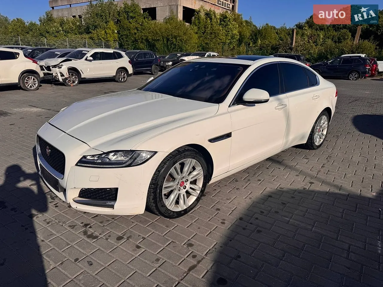 2014 Audi Q7 - мініатюра 33