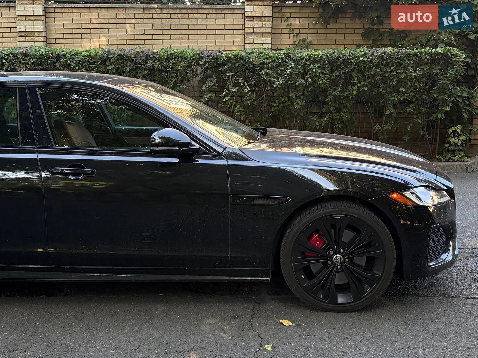 2023 Jaguar XF - мініатюра 4