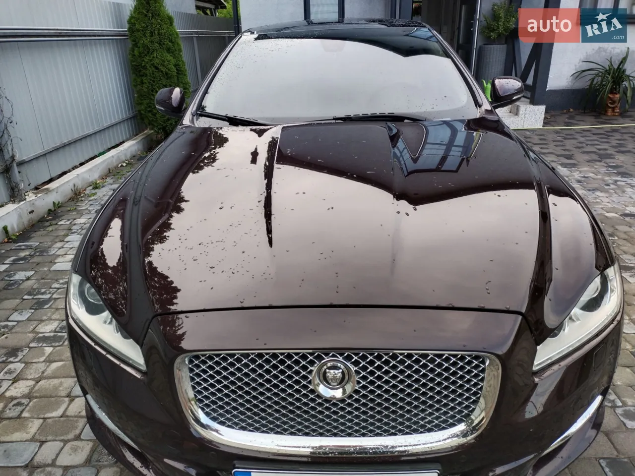 2010 Jaguar XJ - мініатюра 46