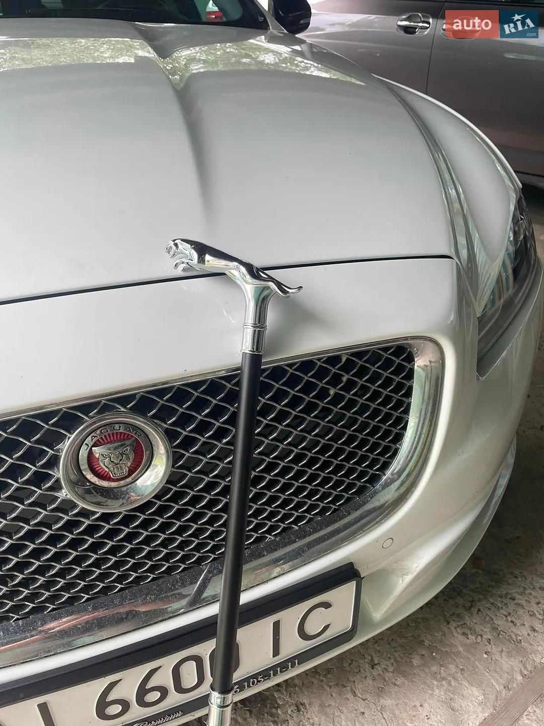 2015 Jaguar XJ - мініатюра 4