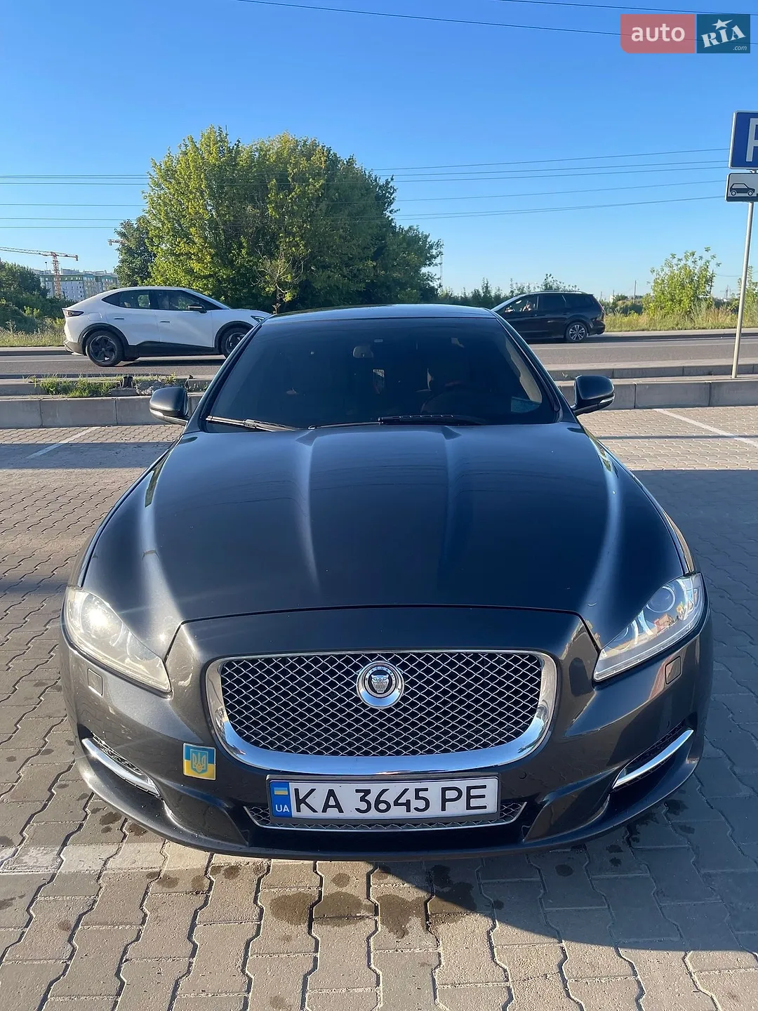 2013 Jaguar XJ - мініатюра 6