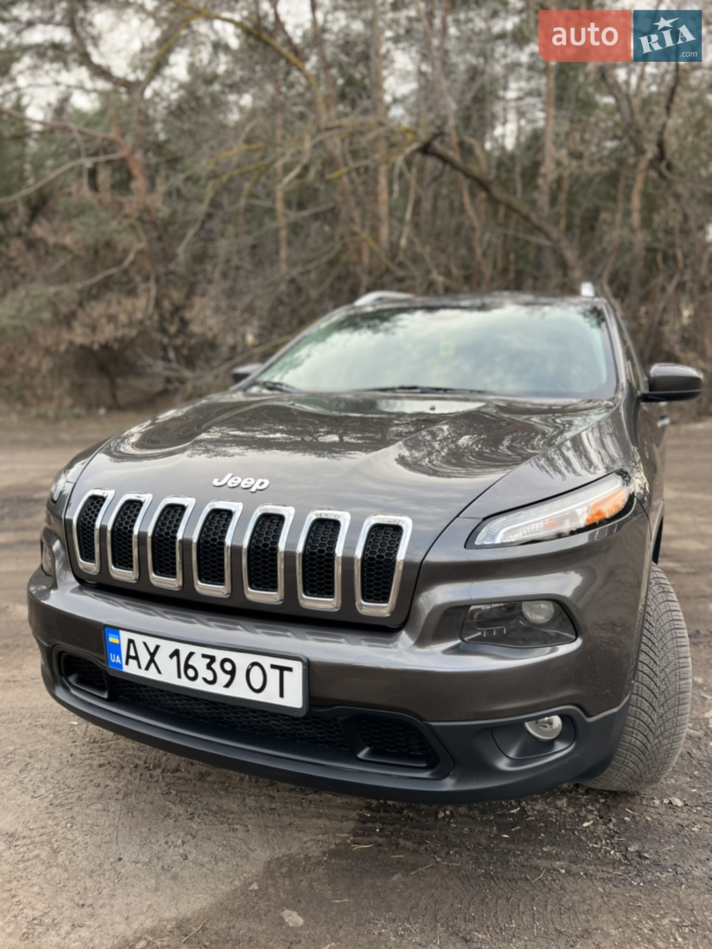 2016 Jeep Cherokee - мініатюра 3