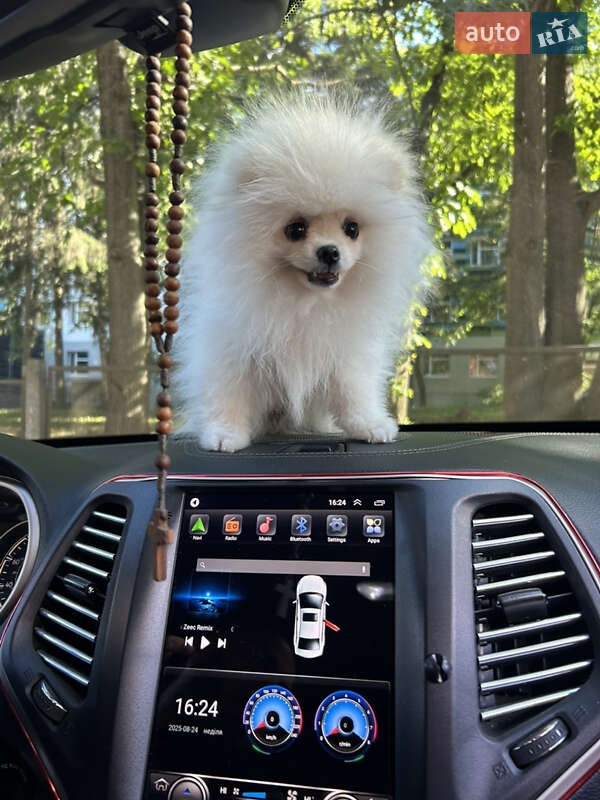 Внедорожник / Кроссовер Jeep Cherokee 2016 в Черновцах