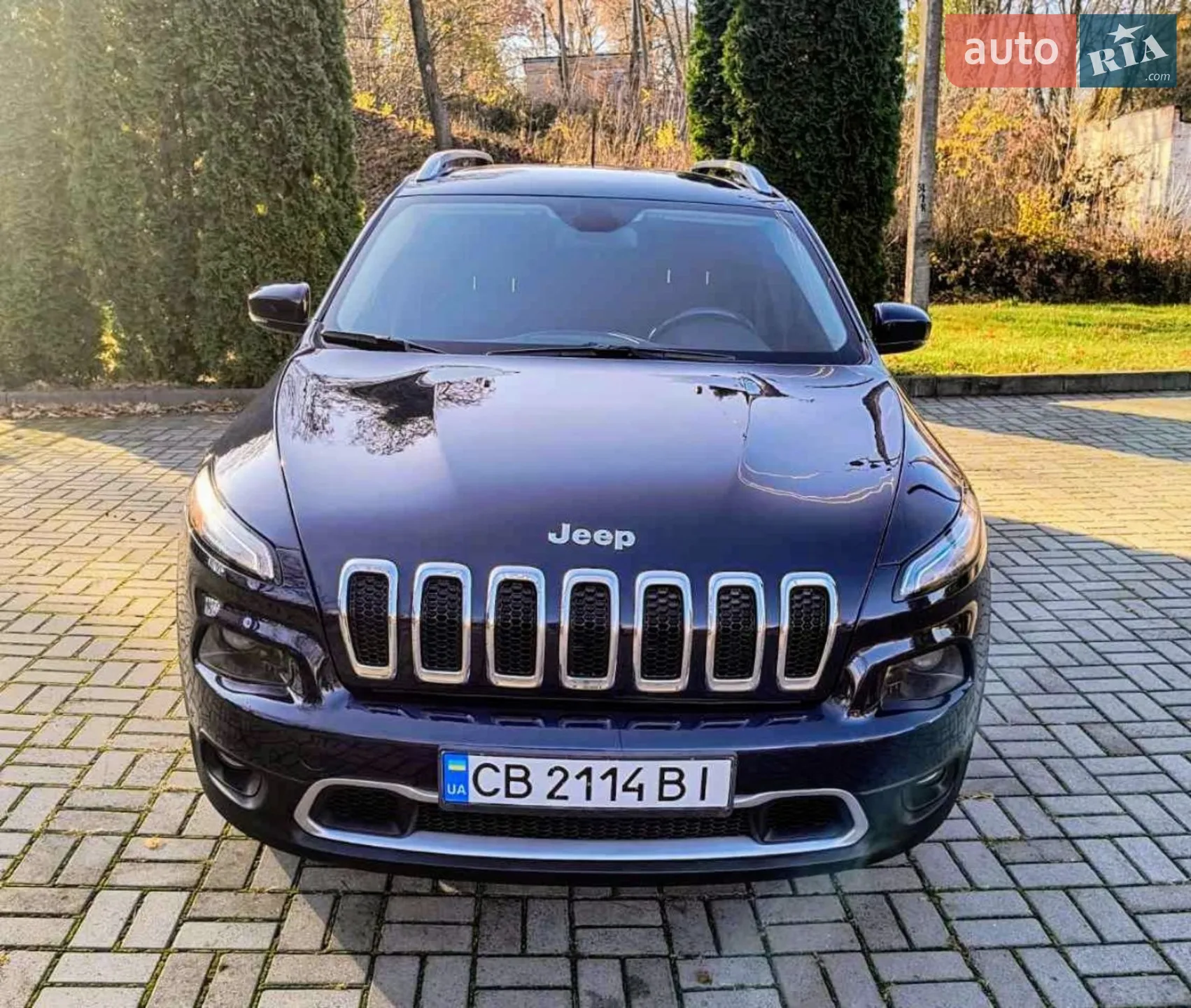 2015 Jeep Cherokee - мініатюра 6