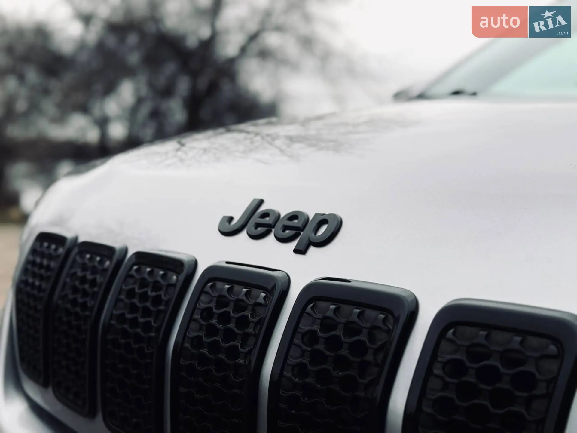2019 Jeep Cherokee - мініатюра 4