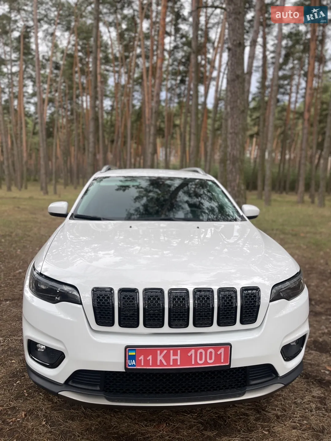 2019 Jeep Cherokee - мініатюра 3