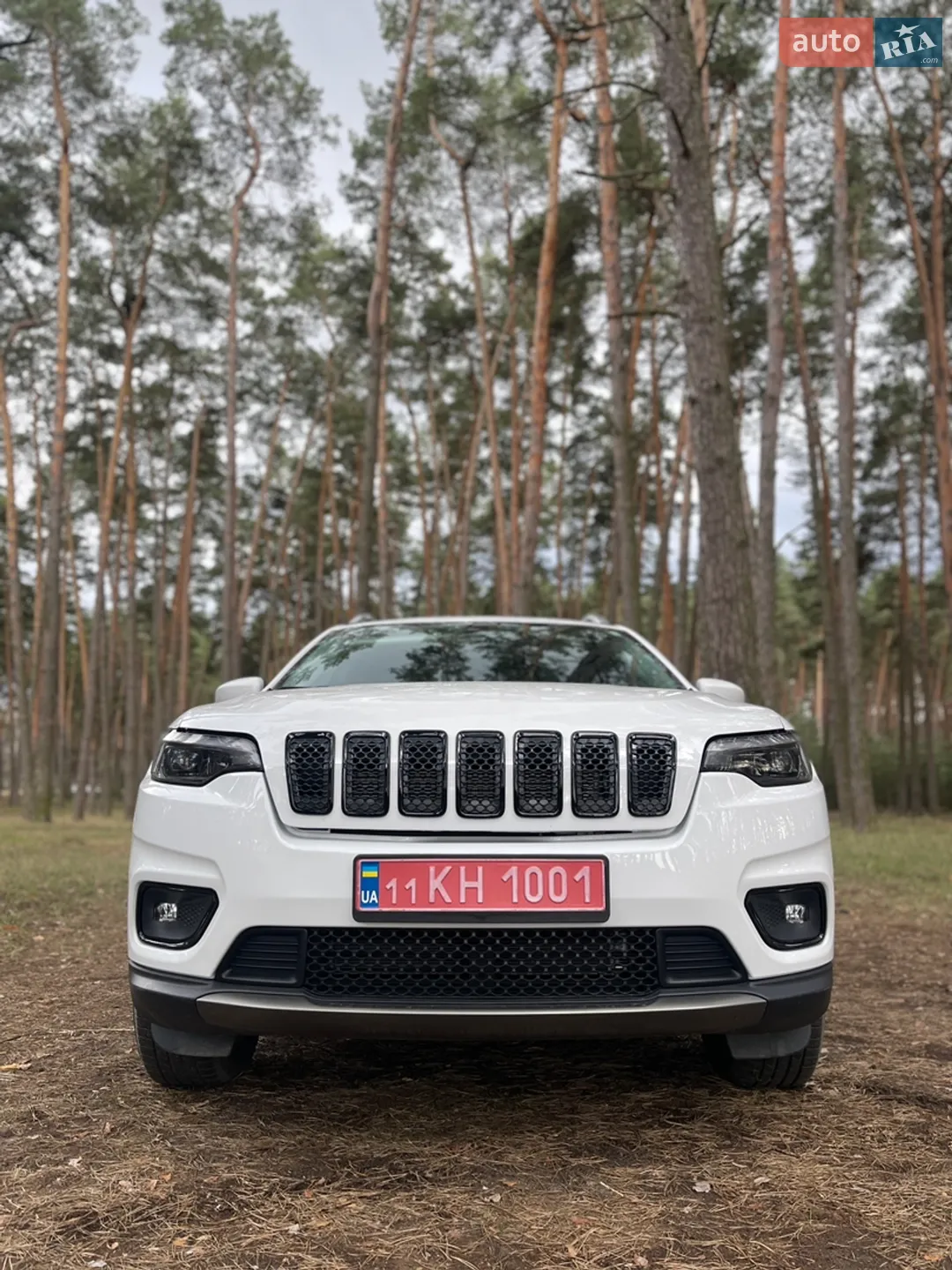 2019 Jeep Cherokee - мініатюра 7