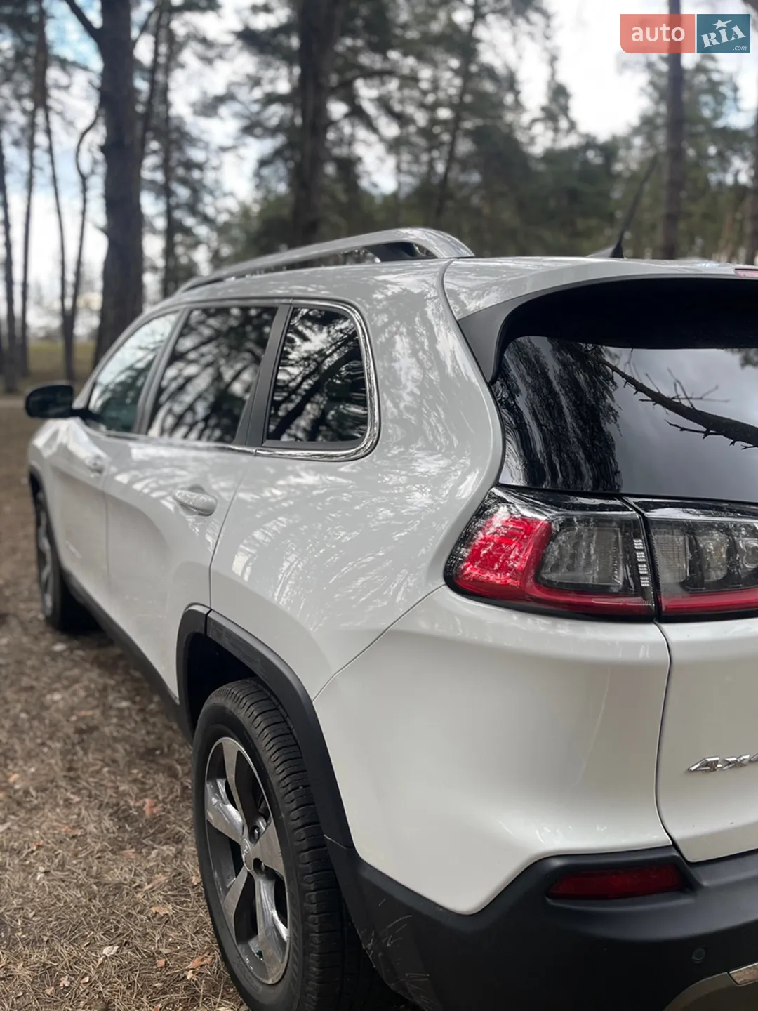 2019 Jeep Cherokee - мініатюра 10