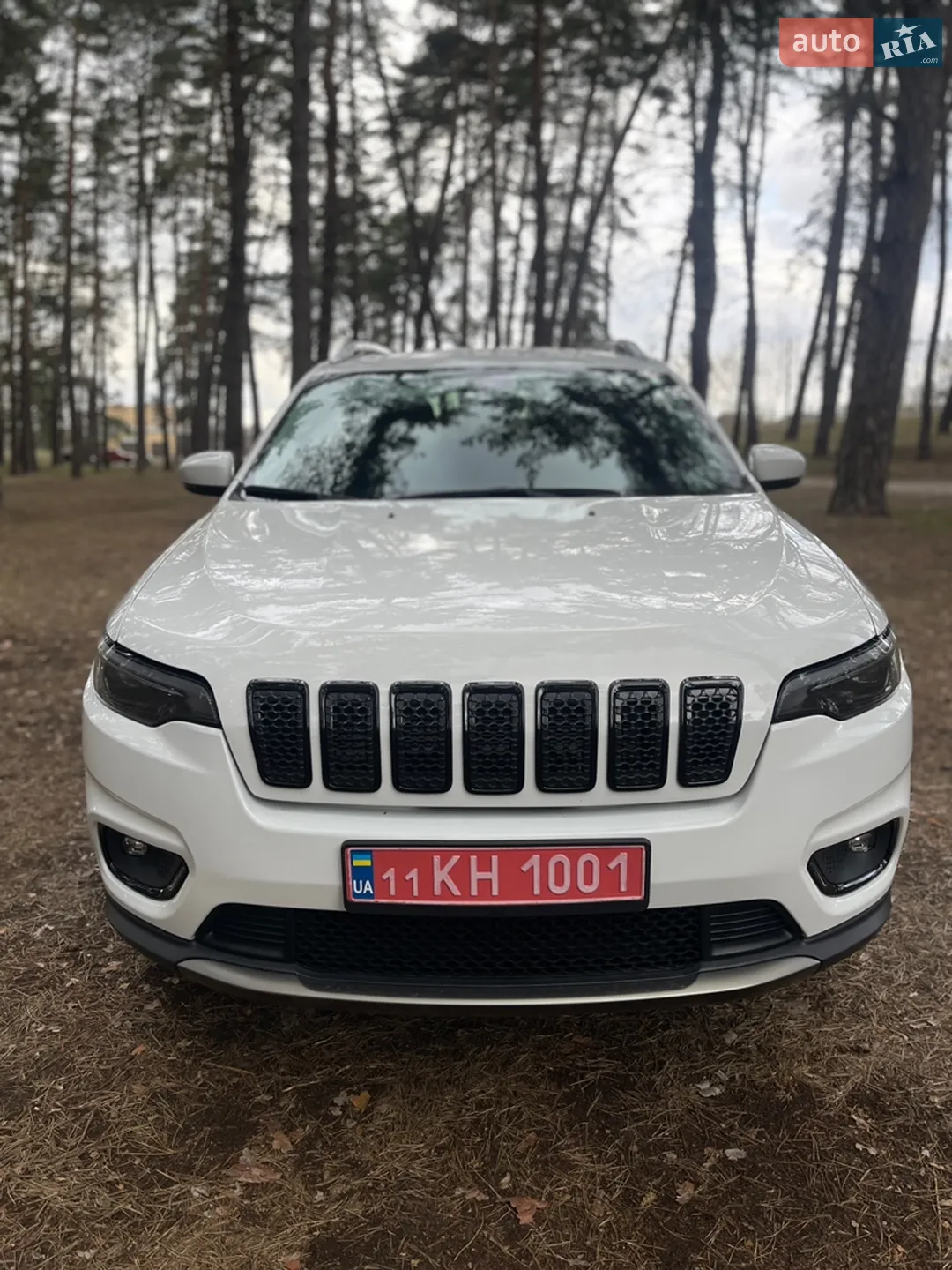 2019 Jeep Cherokee - мініатюра 29