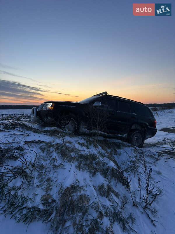 Внедорожник / Кроссовер Jeep Grand Cherokee 2002 в Нововолынске
