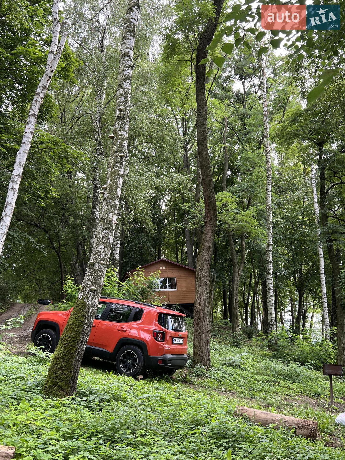 2015 Jeep Renegade - мініатюра 2