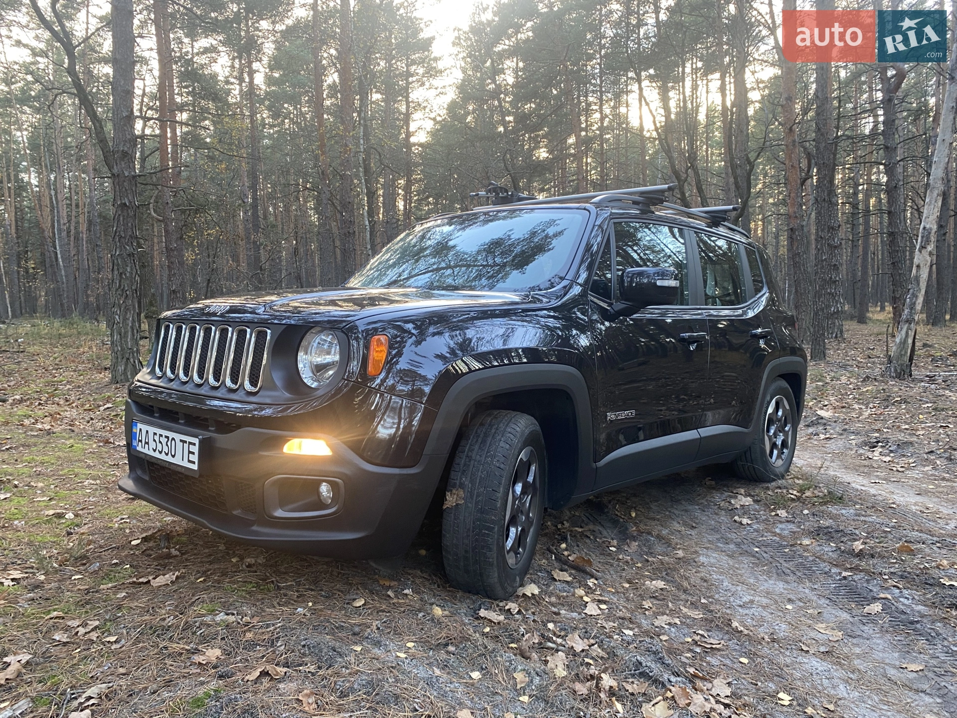 2016 Jeep Renegade - мініатюра 2