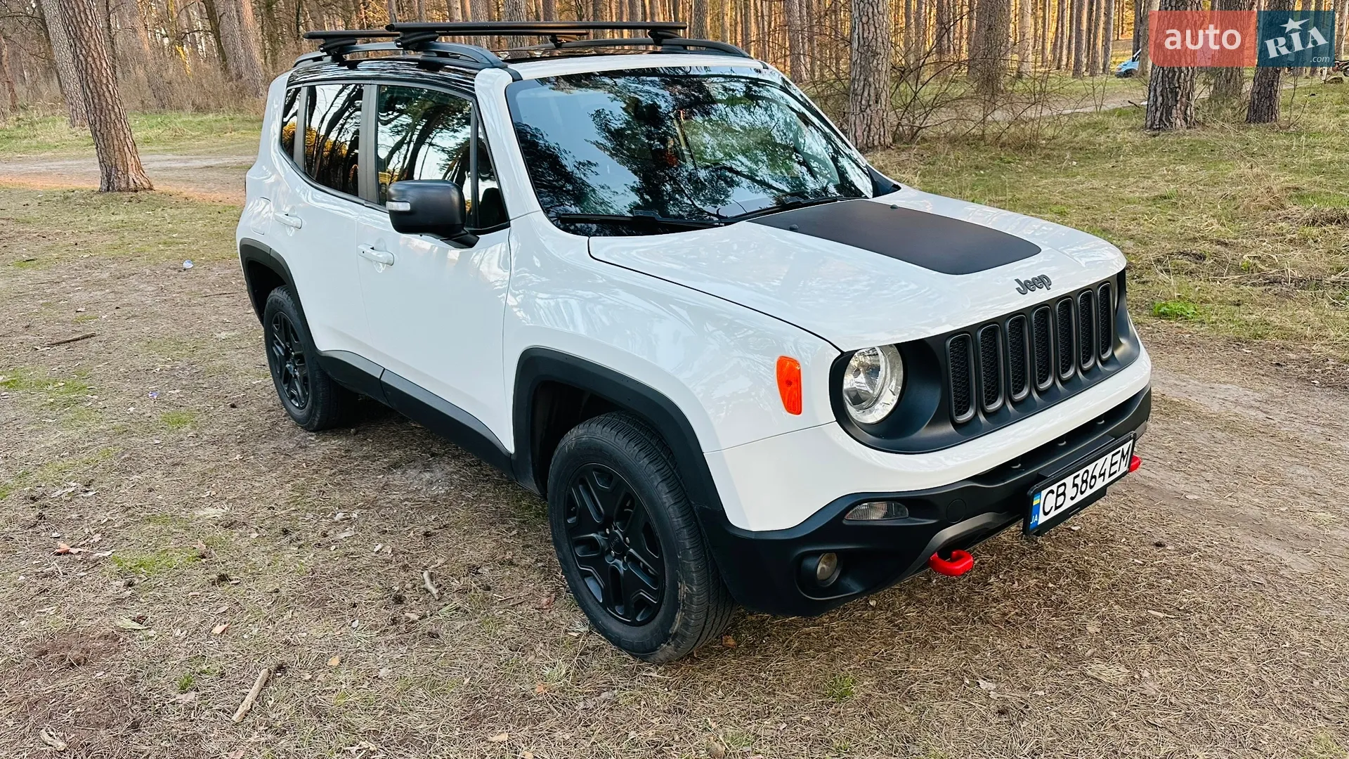 2018 Jeep Renegade - мініатюра 8