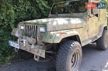 Внедорожник / Кроссовер Jeep Wrangler 1995 в 