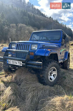 Внедорожник / Кроссовер Jeep Wrangler 1994 в Сколе
