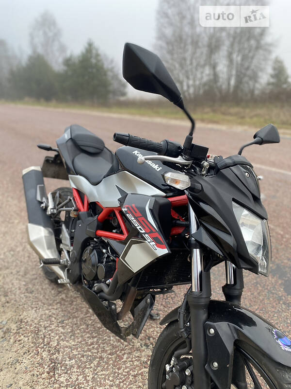 Kawasaki 250