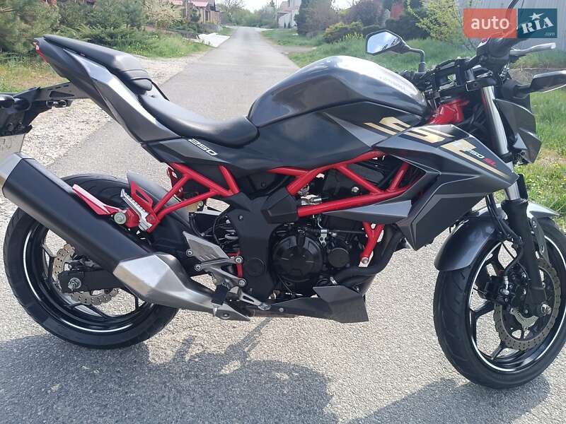 Kawasaki 250 2015