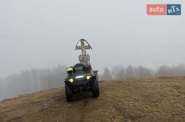 Квадроцикл  утилитарный Kawasaki Brute Force 750 2006 в 