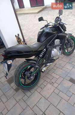 Мотоцикл Без обтекателей (Naked bike) Kawasaki ER-6N 2008 в 
