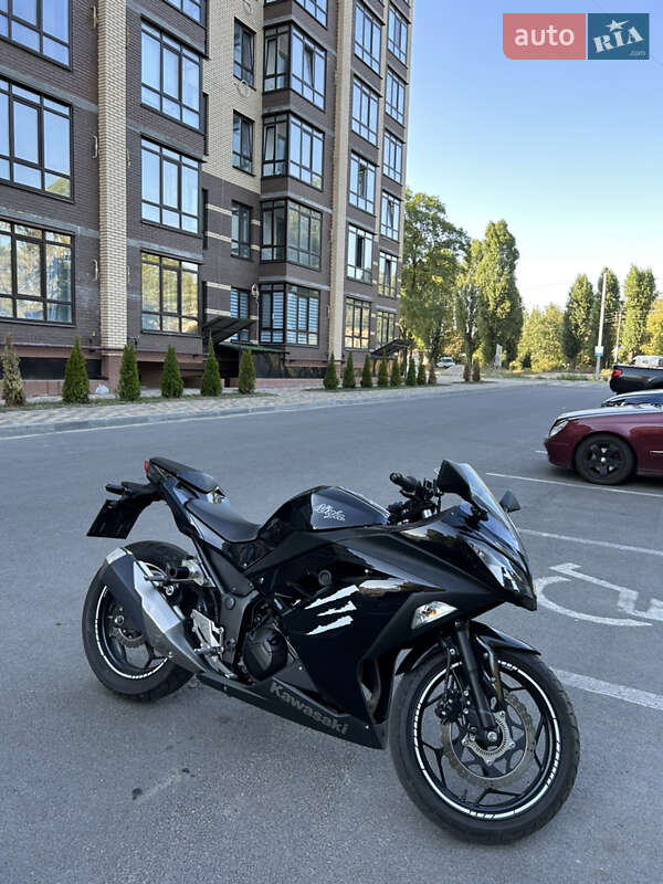 Kawasaki EX 300 2013