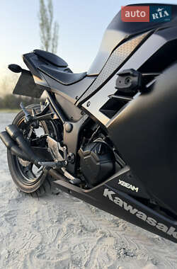 Мотоцикл Спорт-туризм Kawasaki EX 300 2016 в 