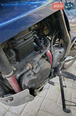 Мотоцикл Многоцелевой (All-round) Kawasaki KLE 250 Anhelo 1994 в 