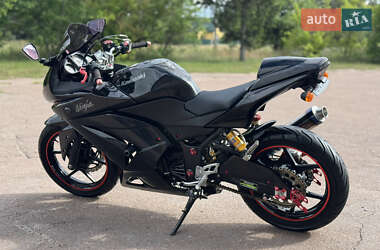 Мотоцикл Без обтекателей (Naked bike) Kawasaki Ninja 250 2008 в 