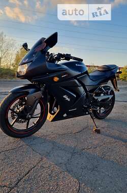 Спортбайк Kawasaki Ninja 250R 2010 в Днепре