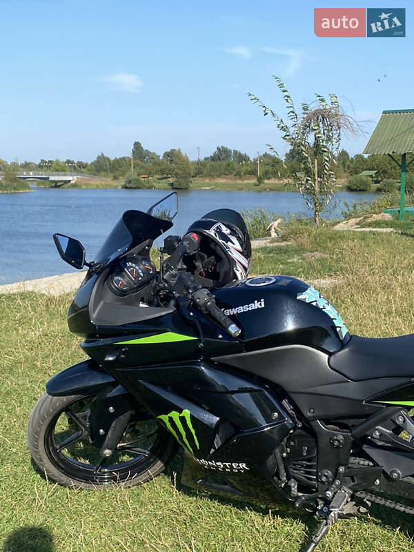 Спортбайк Kawasaki Ninja 250R 2008 в Здолбуніві фото 9 Спортбайк Kawasaki Ninja 250R 2008 в Здолбуніві