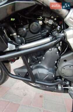 Мотоцикл Багатоцільовий (All-round) Kawasaki Versys 650 2010 в 