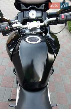 Мотоцикл Багатоцільовий (All-round) Kawasaki Versys 650 2010 в 