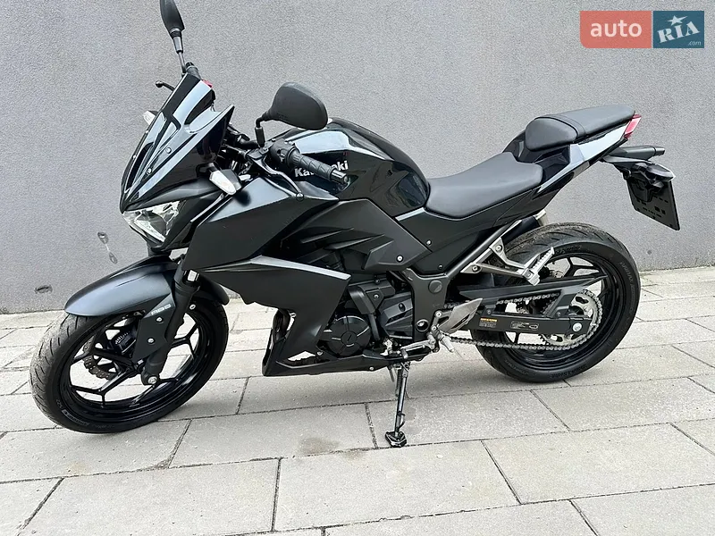 Kawasaki Z 250 2016