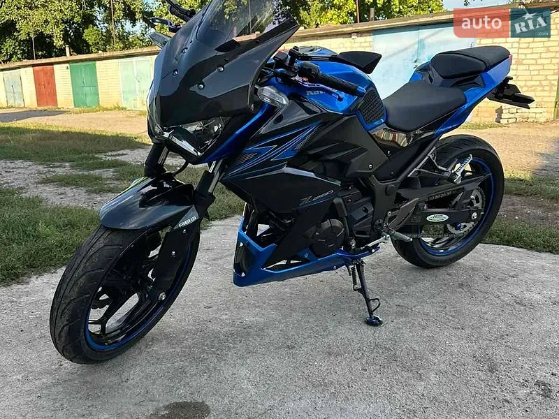 Kawasaki Z 250 2015