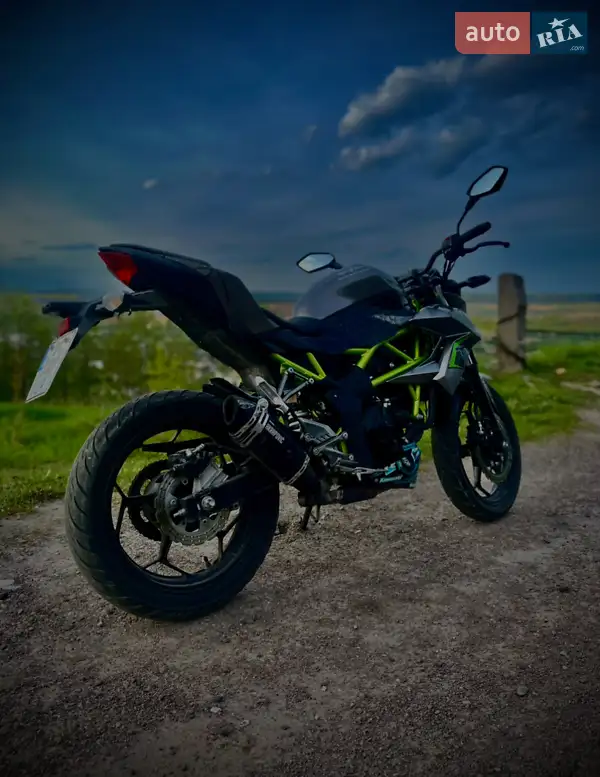 Kawasaki Z 250SL 2016 VIN MH4BR250EFJP40549 фото оголошення 11 з 19