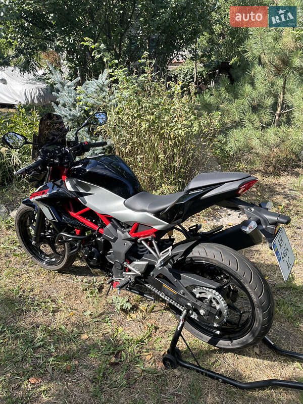 Мотоцикл Без обтекателей (Naked bike) Kawasaki Z 250SL 2018 в Орловщине