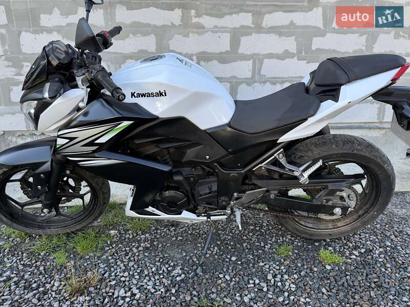 Kawasaki Z 250SL 2014