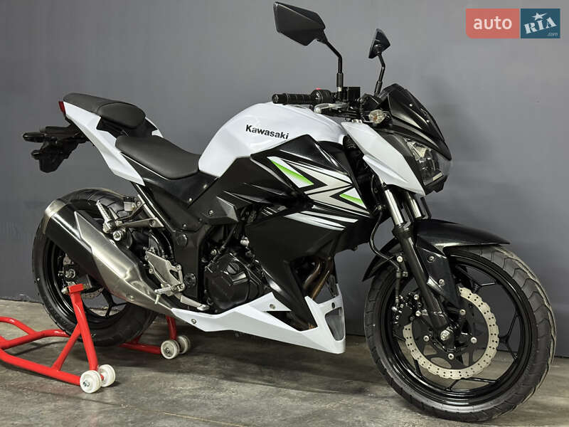 Kawasaki Z 250SL 2016