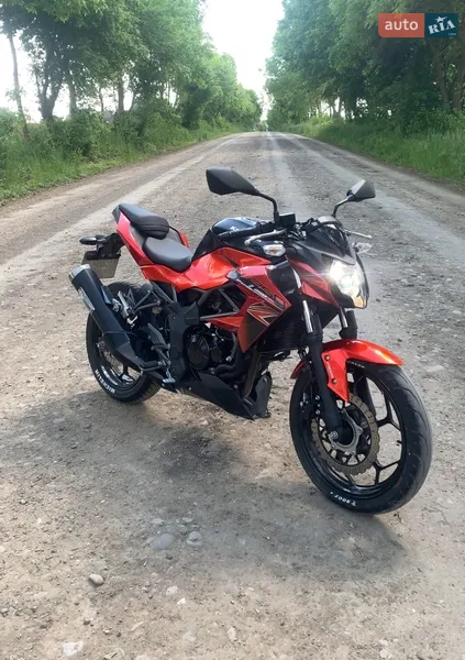 Kawasaki Z 250SL 2016 VIN MH4BR250EFJP40549 фото оголошення 8 з 19