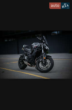 Мотоцикл Без обтекателей (Naked bike) Kawasaki Z 650 2020 в 