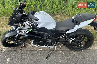 Мотоцикл Без обтекателей (Naked bike) Kawasaki Z 2014 в 